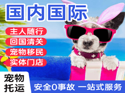 沧源佤山机场空运国际宠物托运 【国